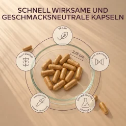 Aavalabs Eisenbisglycinat mit Vitamin C | Hochdosiert für Eisenmangel | 4-Monats-Vorrat><noscript><img width=