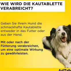 AdTab Kautabletten für Hunde über 1,3 bis 2,5 kg gegen Zecken und Flöhe, schnelle Abtötung von Parasiten für die Dauer von einem Monat><noscript><img width=