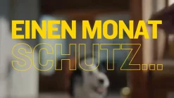 AdTab Kautabletten für Hunde über 22 bis 45 kg gegen Zecken und Flöhe, schnelle Abtötung von Parasiten für die Dauer von einem Monat| Clearance