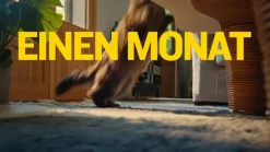 AdTab Kautabletten für Katzen über 2 bis 8 kg gegen Zecken und Flöhe, schnelle Abtötung von Parasiten für die Dauer von einem Monat><noscript><img width=