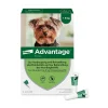 Spot-On 40 gegen Flöhe für sehr kleine Hunde bis 4 kg Körpergewicht|Advantage Outlet