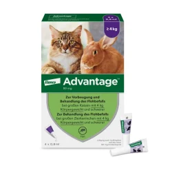Spot-On 80 gegen Flöhe für große Katzen und Zierkaninchen von 4 bis 8 kg Körpergewicht>Advantage Best