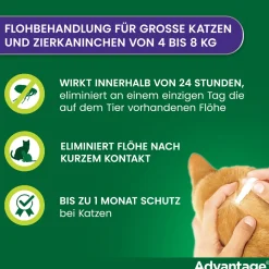 Spot-On 80 gegen Flöhe für große Katzen und Zierkaninchen von 4 bis 8 kg Körpergewicht><noscript><img width=