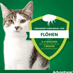 Spot-On 80 gegen Flöhe für große Katzen und Zierkaninchen von 4 bis 8 kg Körpergewicht><noscript><img width=
