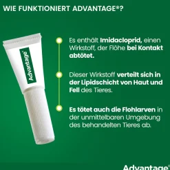 Spot-On 80 gegen Flöhe für große Katzen und Zierkaninchen von 4 bis 8 kg Körpergewicht><noscript><img width=