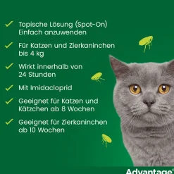 Spot-On 40 gegen Flöhe für kleine Katzen und Zierkaninchen bis 4 kg Körpergewicht, schneller und effektiver Flohschutz|Advantage New