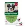 Spot-On 250 gegen Flöhe für mittelgroße Hunde von 10 bis 25 kg Körpergewicht>Advantage Discount