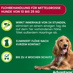 Spot-On 250 gegen Flöhe für mittelgroße Hunde von 10 bis 25 kg Körpergewicht><noscript><img width=