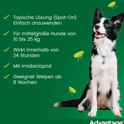 Spot-On 250 gegen Flöhe für mittelgroße Hunde von 10 bis 25 kg Körpergewicht><noscript><img width=