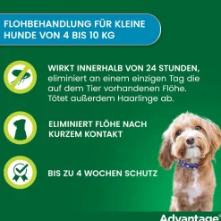 Spot-On 100 gegen Flöhe für große Hunde von 4 bis 10 kg Körpergewicht><noscript><img width=