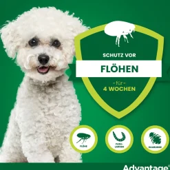 Spot-On 100 gegen Flöhe für große Hunde von 4 bis 10 kg Körpergewicht><noscript><img width=