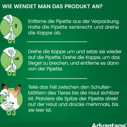Spot-On 100 gegen Flöhe für große Hunde von 4 bis 10 kg Körpergewicht><noscript><img width=
