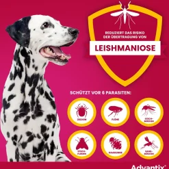 Advantix Spot-On 400 für große Hunde bis 40 kg Körpergewicht gegen Zecken, Flöhe und fliegende Insekten, bis zu 4 Wochen Wirksamkeit| New
