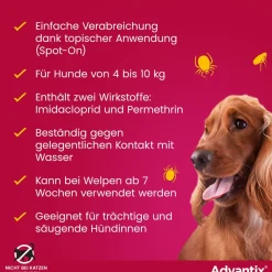 Advantix Spot-On 100 für kleine Hunde von 4 bis 10 kg Körpergewicht gegen Zecken, Flöhe und fliegende Insekten, bis zu 4 Wochen Wirksamkeit><noscript><img width=