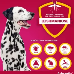 Advantix Spot-On 250 für mittelgroße Hunde von 10 bis 25 kg Körpergewicht gegen Zecken, Flöhe und fliegende Insekten, bis zu 4 Wochen Wirksamkeit| Online