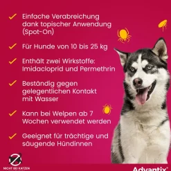 Advantix Spot-On 250 für mittelgroße Hunde von 10 bis 25 kg Körpergewicht gegen Zecken, Flöhe und fliegende Insekten, bis zu 4 Wochen Wirksamkeit| Online