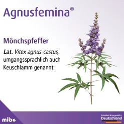 Agnusfemina® – natürliche Hilfe bei Menstruationsbeschwerden><noscript><img width=