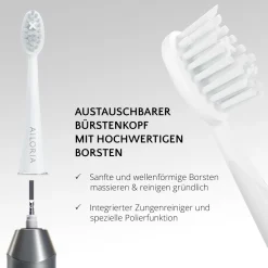 SHINE BRIGHT USB-Schallzahnbürste><noscript><img width=