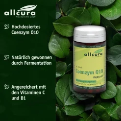 Coenzym Q 10 Kapseln|allcura Hot