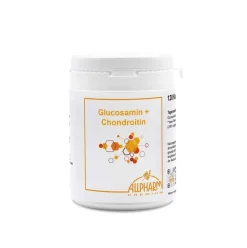 ALLPHARM Glucosamin plus Chondroitin| Hot