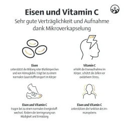 ® Eisen Acerola Sticks unterstützen bei Eisenmangel und Mehrbedarf, ab 10 Jahren geeignet, vegan|Alpinamed