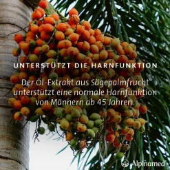 ® Prosta Plus Kapseln unterstützen eine normale Harnfunktion von Männern *|Alpinamed Discount