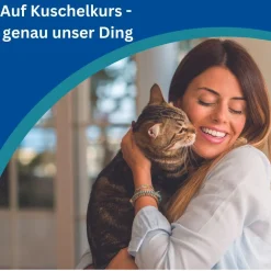 Amflee® combo 50 mg/60 ml für Katzen|