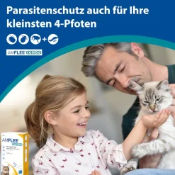 Amflee® combo 50 mg/60 ml für Katzen|