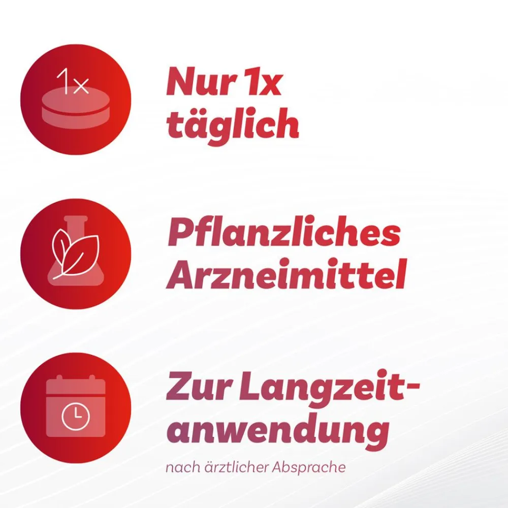 ® Set>Antistax New