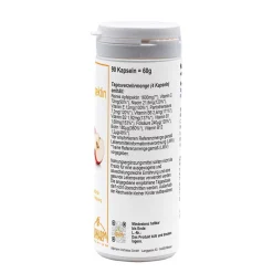 Apfel-Pektin><noscript><img width=