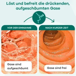 Novacalm  bei gasbedingten Magen-Darm-Beschwerden><noscript><img width=