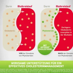 ARTERIN® Cholesterin Tabletten><noscript><img width=