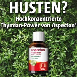 ® Hustensaft bei Husten und akuter Bronchitis>Aspecton Hot