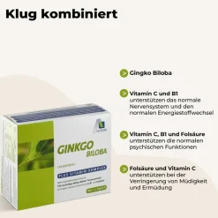 Gingko-Biloba mit 100 mg Gingko-Blätter-Trockenextrakt+Vitamin-Komplex><noscript><img width=
