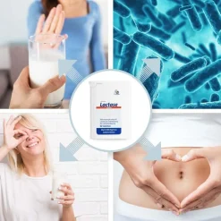 Lactase 7000 FCC|Avitale