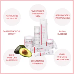 Avocado.B12|