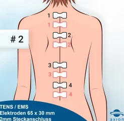 ® selbstklebende Elektrodenpads 6.5 x 3 cm – passend zu , Prorelax, Promed, etc.|axion Online