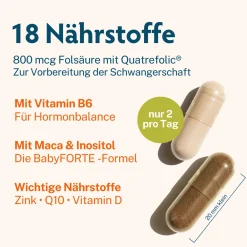 Kinderwunsch Vitamine OHNE JOD | vegan | 800 µg Folsäure, Quatrefolic® & Q10><noscript><img width=