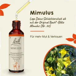 BACH®-BLÜTEN Angsthelfer Set>