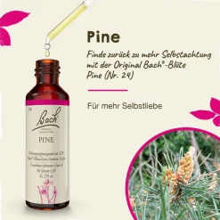 BACH®-BLÜTEN Angsthelfer Set><noscript><img width=