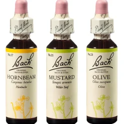 BACH®-BLÜTEN Frühlingserwachen Set| Clearance