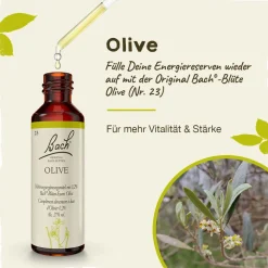 BACH®-BLÜTEN Frühlingserwachen Set| Clearance