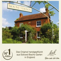 BACH®-BLÜTEN Frühlingserwachen Set| Clearance