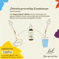 BACH®-BLÜTEN Frühlingserwachen Set| Clearance