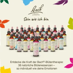 BACH®-BLÜTEN Frühlingserwachen Set| Clearance