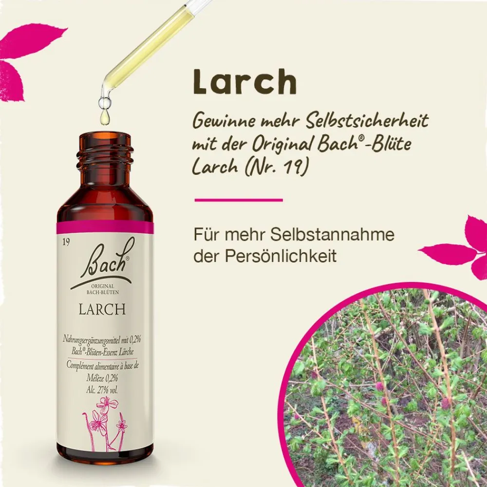 BACH®-BLÜTEN Innere Balance Set> Clearance