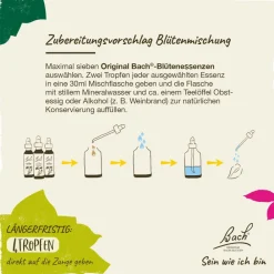 BACH®-BLÜTEN Innere Balance Set><noscript><img width=