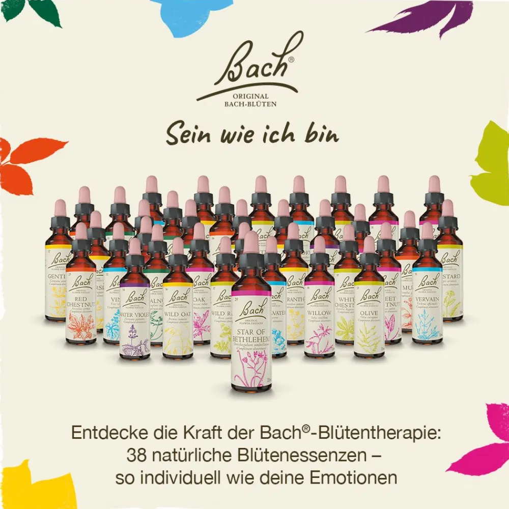 BACH®-BLÜTEN Innere Balance Set> Clearance