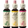 BACH®-BLÜTEN Innere Stärke Set| Hot
