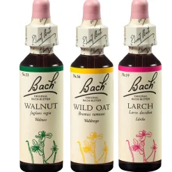 BACH®-BLÜTEN Innere Stärke Set| Hot